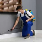 Complete Termite Control Services in Lahore for Safe Homes Today