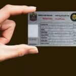 High-Quality Custom Wave Tags for Unique Packaging