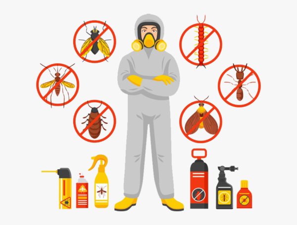 Termite Control Treatment Near Me