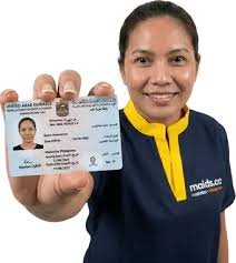 Maid Visa as a Self-Employed Professional