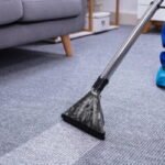 Why Are Pest Control Services in Lahore Essential for Every Property?