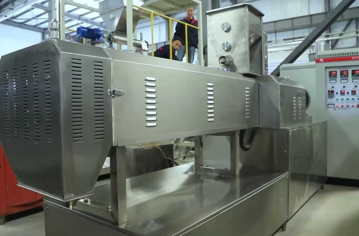 Best Chicken Fryer Buying Guide for Home Kitchens